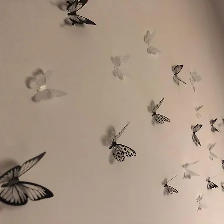 La Casa Di Pablo 公寓